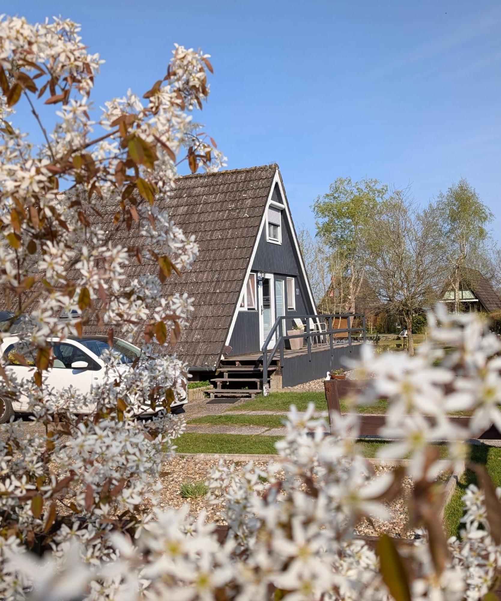 Ferienhaus Brungers 서드부룩멜랜드 외부 사진